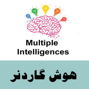 هوش چندگانه گاردنر – Choice Scale